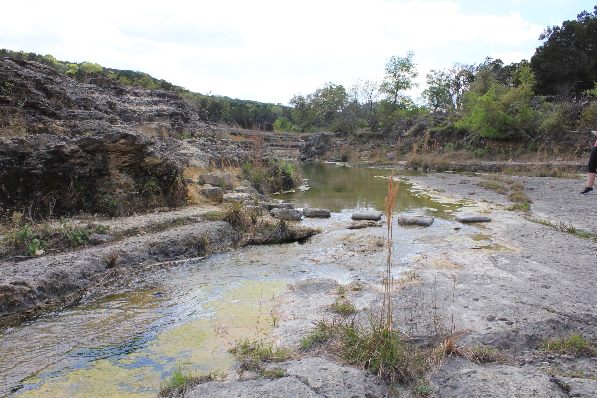 Looking down the limestone terraces of Canyon Lake Gorge toward the Guadalupe valley