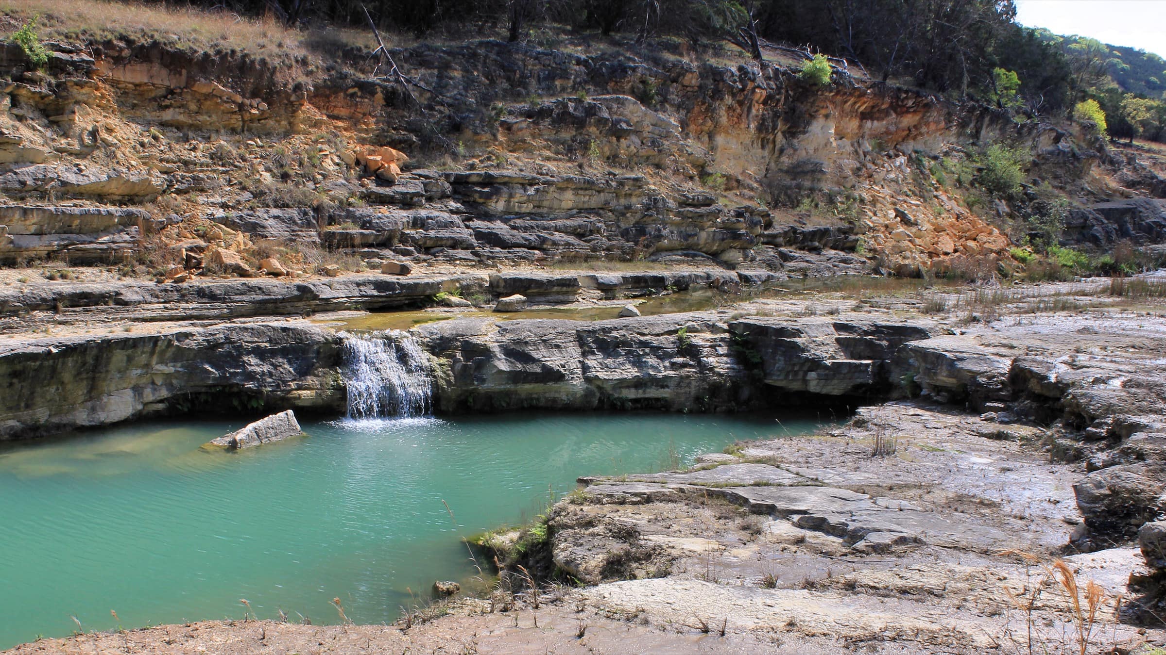 A turquoise spring-fed pool below a limestone ledge in Canyon Lake Gorge