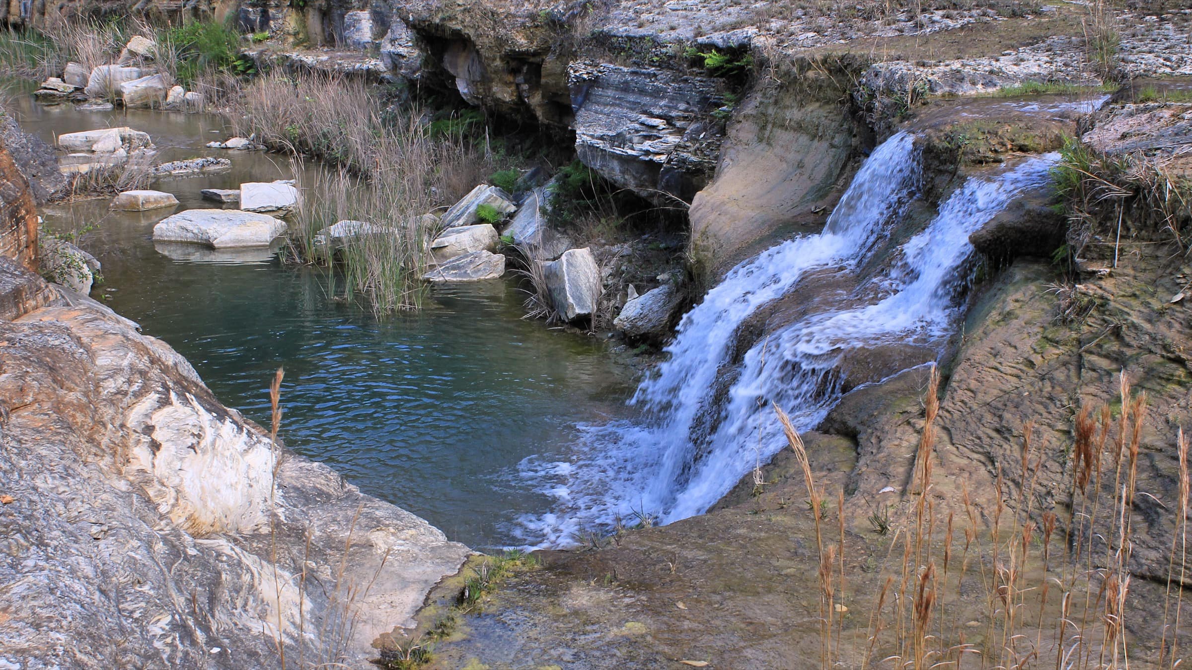 A small waterfall over limestone steps into a pool in Canyon Lake Gorge